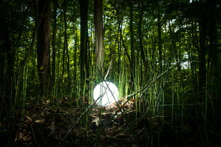 Bright glowing magic crystal ball in woods for fantasy imageryの写真素材