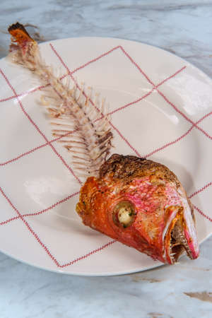 Red snapper fish spine bone with head after finishing dinner