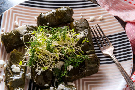 Armenian yaprak dolma, stuffed grape leaves appetizerの写真素材