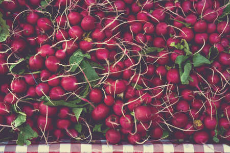 Fresh organic radishes with leaves at local farmers marketの写真素材