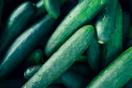 Close up of pile of cucumbers at local farmers market displayの写真素材