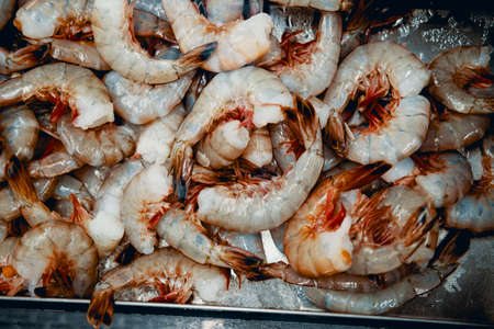 Fresh raw shell-on unpeeled shrimp chilling on iceの写真素材