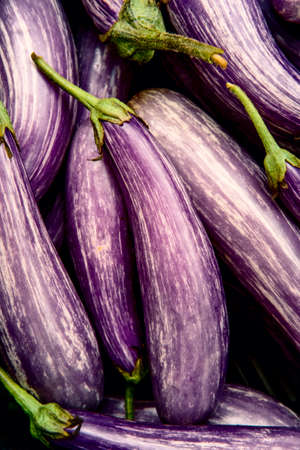 Organic variegated fairy tale eggplant background at local farmers marketの写真素材