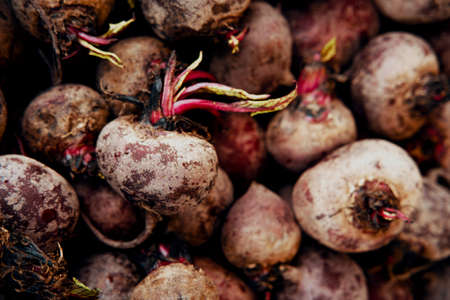 Organic red beets on display at local farmers market