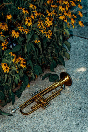 Summer jazz instrument trumpet standing aloneの写真素材