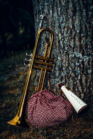 Traveling musicians trumpet and handkerchief picnic sack on a stick