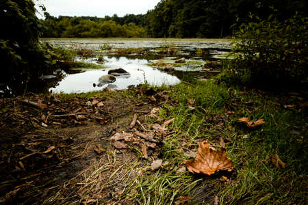 Tranquil speedwell lake park in Morristown, NJ falling leaves as Autumn approaches