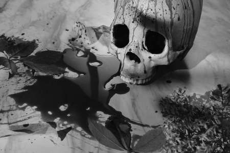 Bloody fall season holiday decoration Halloween skull shot in black and white with grain effectの写真素材
