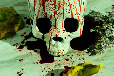 Bloody fall season holiday decoration Halloween skullの写真素材