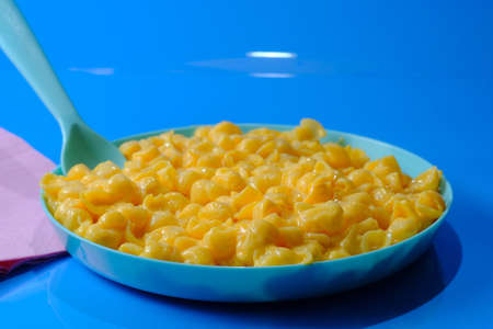 Kids fun seashell pasta mac and cheese served in plastic plateの写真素材