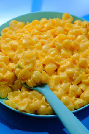 Kids fun seashell pasta mac and cheese served in plastic plateの写真素材