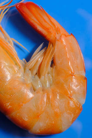 Macro closeup whole steamed shrimp on blue backgroundの写真素材
