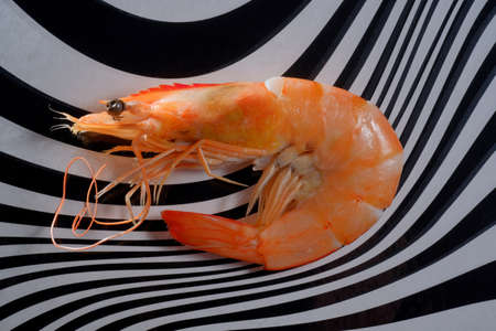 Macro closeup whole steamed shrimp on striped background