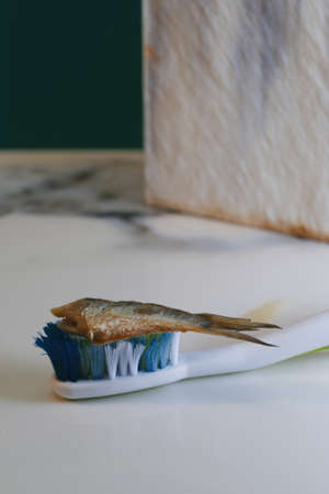 Old dirty toothbrush with sardine instead of toothpaste as metaphor symbol for bad breathの写真素材
