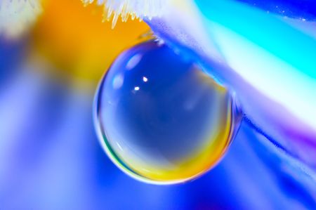 Water drop on the flower petal. Super Macro の写真素材