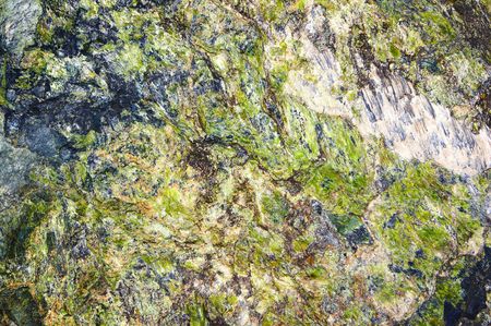 Stone backgroundの写真素材