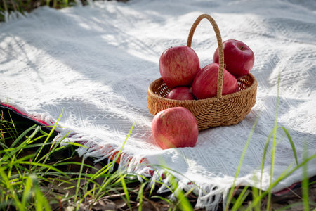 Red apples in a basket on a mat outdoor picnic.の写真素材