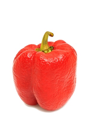 Red wrinkled pepperの写真素材