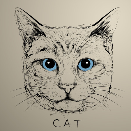 Hand drawn catのイラスト素材