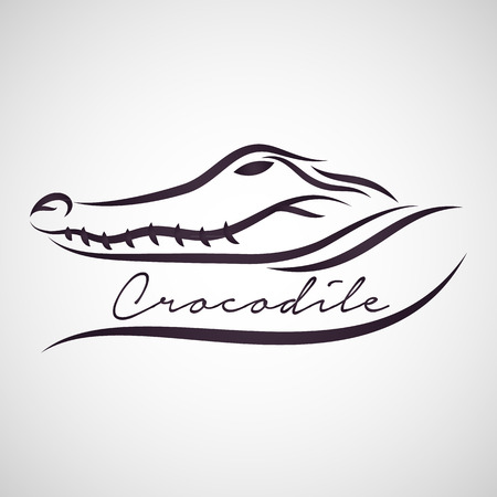 Crocodile vectorのイラスト素材
