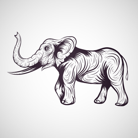 Elephant vectorのイラスト素材