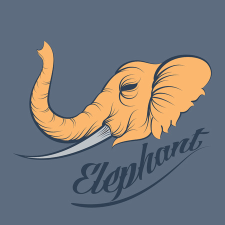 Elephant vectorのイラスト素材