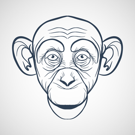 Monkey vectorのイラスト素材