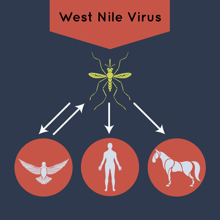 West Nile Virus vector icon illustration のイラスト素材