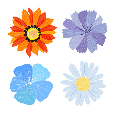 Flower Design Elementsのイラスト素材