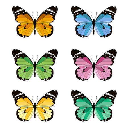 set butterflyのイラスト素材