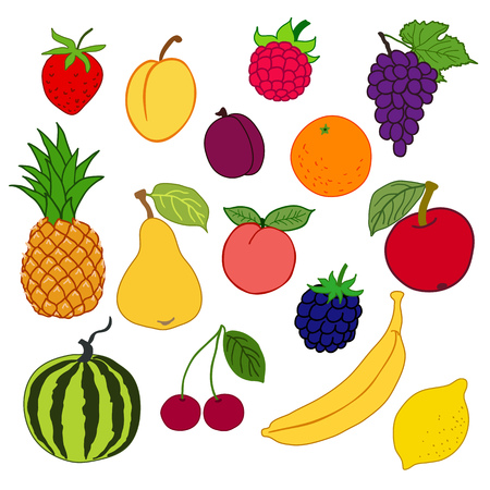 vector illustration: fruits and berriesのイラスト素材