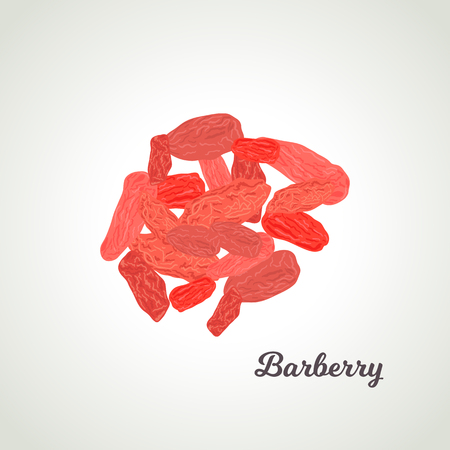 a handful of barberryのイラスト素材