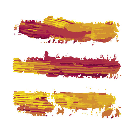 realistic color vector brush strokes of paint on white background の写真素材