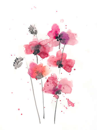 Hand drawn ink and watercolor illustration: red poppies flowers and buds on white backgroundの写真素材