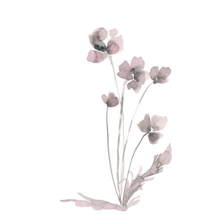 Hand drawn ink and watercolor illustration: red poppies flowers and buds on white backgroundの写真素材