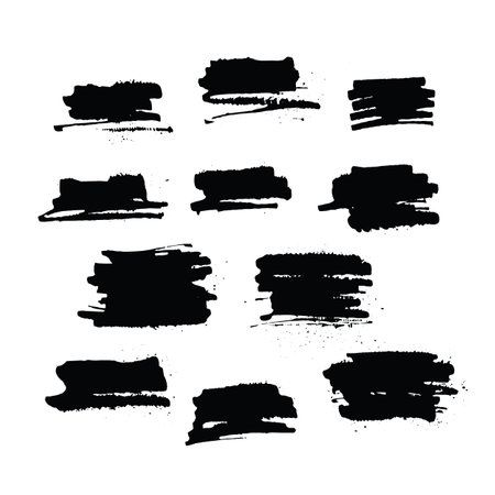 black vector brush strokes of paint on white backgroundのイラスト素材