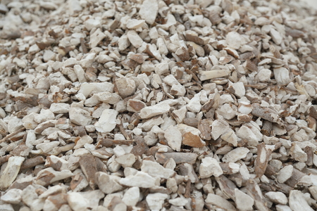 cassava root - dry cassava rootの写真素材