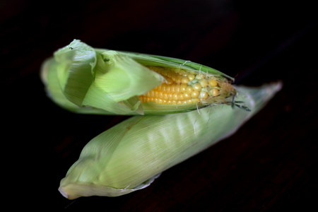 Close up fresh sweet cornの写真素材