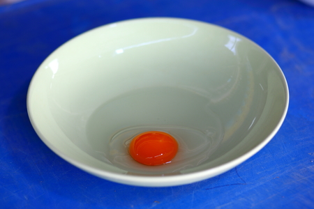 Fresh eggsの写真素材