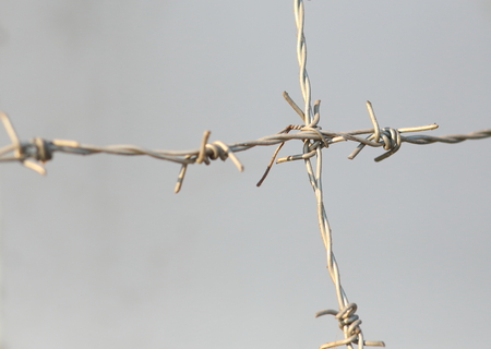 barbed wire for backgroundの写真素材