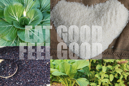 eat good feel good word on rice and vegetable backgroundの写真素材