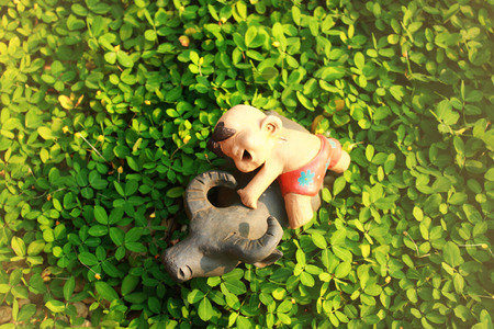 Boy riding buffalo on green field in the morningの写真素材