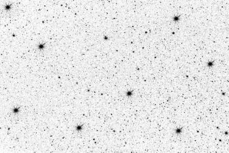 white and black backgroundの写真素材