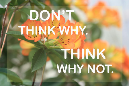 Don't think why. Think why not. on orange flower backgroundの写真素材