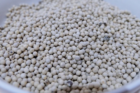 White pepperの写真素材