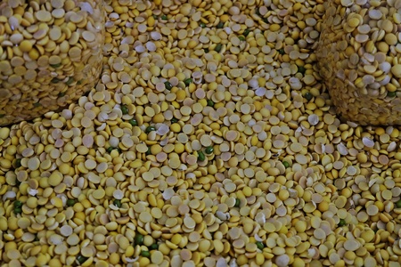 soybean milkの写真素材