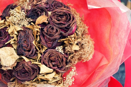 dry roseの写真素材