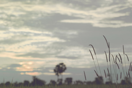 blurred sky with vintage toneの写真素材