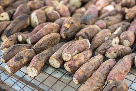 grill sweet potato, Ipomoea batatasの写真素材