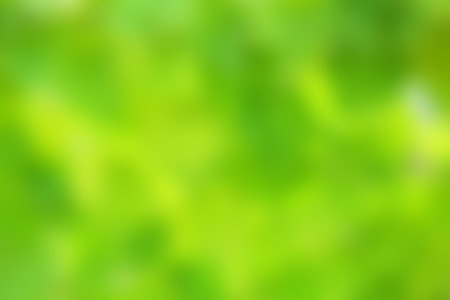 green blurred backgroundの写真素材